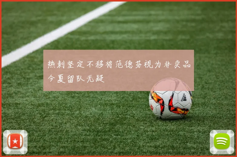 热刺坚定不移将范德芬视为非卖品今夏留队无疑